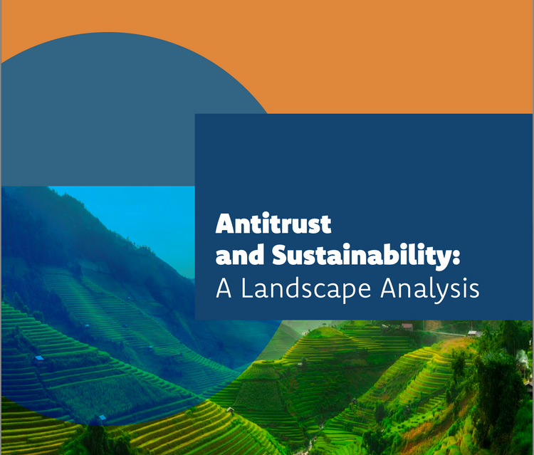New Report – Sustainability and Antitrust: A Landscape Analysis