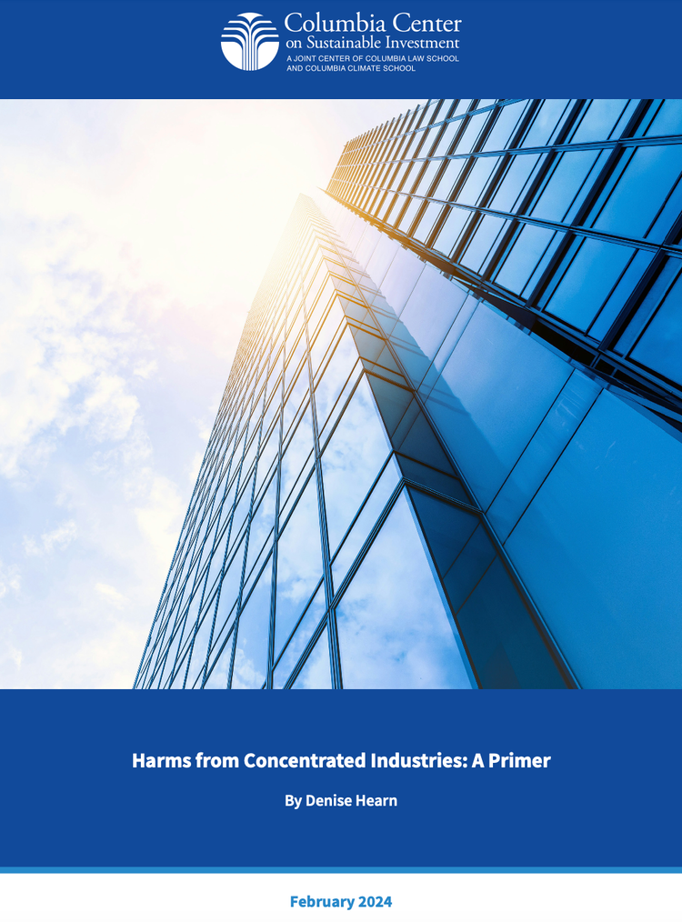 Harms from Concentrated Industries: A Primer